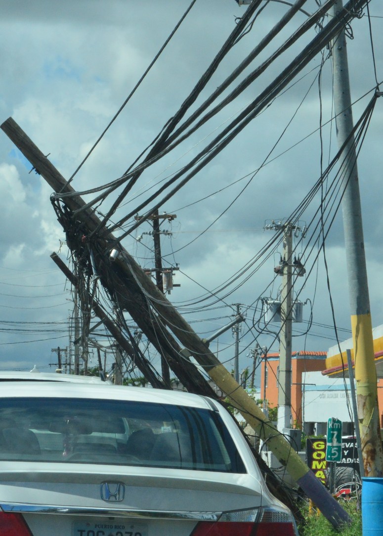 146D4243-7F1C-42D1-B01E-ECC0133EC7D2