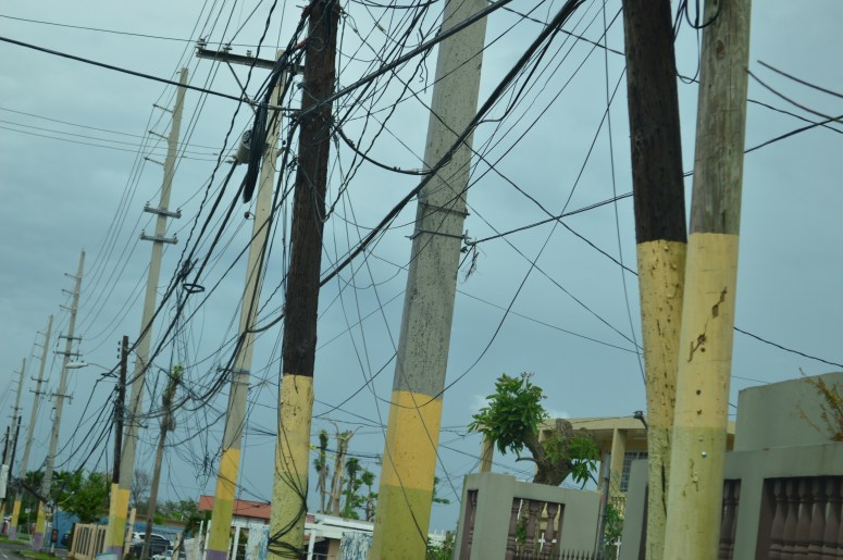 65CA8E35-1906-4936-8BB9-DA9EEF2555A7