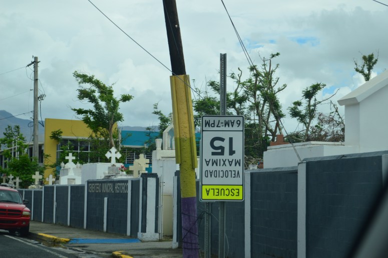 EC0A496C-2DCB-420C-86D1-415F293A4E07